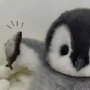 Meet your Posher, Kylie